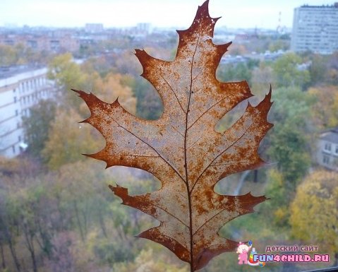 Осенние поделки из листьев