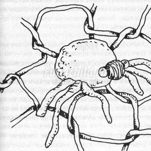 поделки из фольги паучок