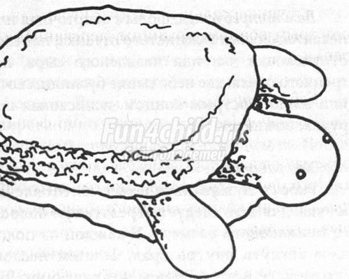 поделка из фольги черепашка