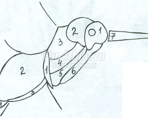 квиллинг колибри мастер-класс