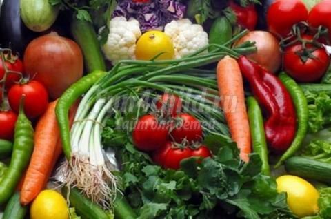 Разнообразие продуктов в рационе питания школьника.