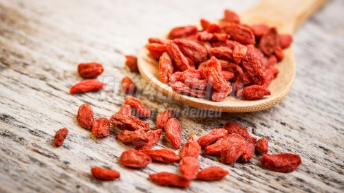 Ягоды Годжи для похудения