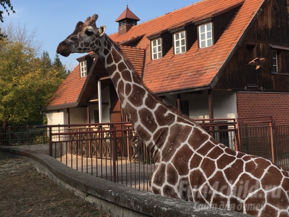 Осенний отдых во Вроцлаве: преимущества выбора